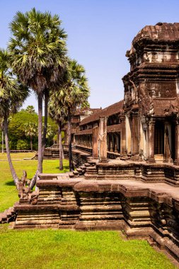 angkor wat tapınağı, siem hasadı, Kamboçya