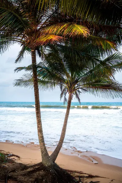 Terengganu Sahil Hattı, Malezya, HDR Görüntü