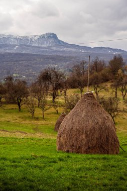 Maramures Tipik Tarihi Eserler, Kuzey Romanya