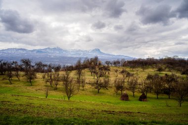 Maramures Tipik Tarihi Eserler, Kuzey Romanya
