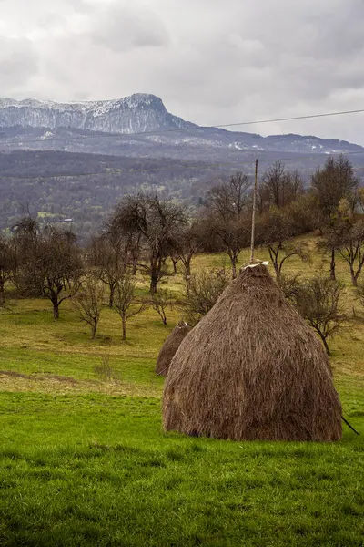 Maramures Tipik Tarihi Eserler, Kuzey Romanya