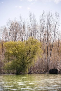 Romanya 'nın Sfantu Gheorghe kentinde Tuna Deltası manzarası