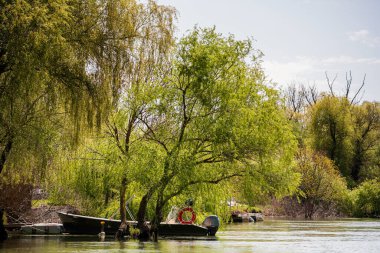 Romanya 'nın Sfantu Gheorghe kentinde Tuna Deltası manzarası