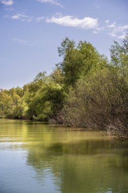 Romanya 'nın Sfantu Gheorghe kentinde Tuna Deltası manzarası