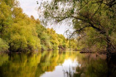 Romanya 'nın Sfantu Gheorghe kentinde Tuna Deltası manzarası