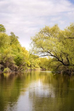 Romanya 'nın Sfantu Gheorghe kentinde Tuna Deltası manzarası