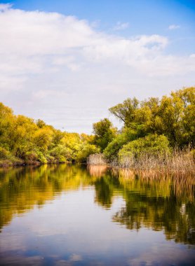Romanya 'nın Sfantu Gheorghe kentinde Tuna Deltası manzarası