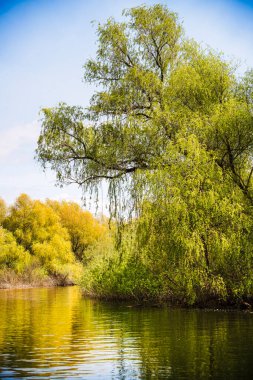 Romanya 'nın Sfantu Gheorghe kentinde Tuna Deltası manzarası