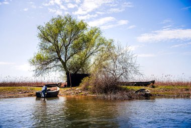 Romanya 'nın Sfantu Gheorghe kentinde Tuna Deltası manzarası