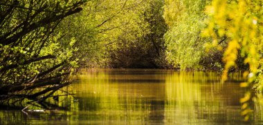 Romanya 'nın Sfantu Gheorghe kentinde Tuna Deltası manzarası