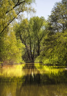 Romanya 'nın Sfantu Gheorghe kentinde Tuna Deltası manzarası