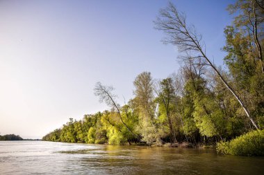 Romanya 'nın Sfantu Gheorghe kentinde Tuna Deltası manzarası