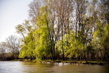 Romanya 'nın Sfantu Gheorghe kentinde Tuna Deltası manzarası