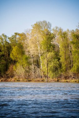 Romanya 'nın Sfantu Gheorghe kentinde Tuna Deltası manzarası