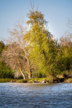 Romanya 'nın Sfantu Gheorghe kentinde Tuna Deltası manzarası