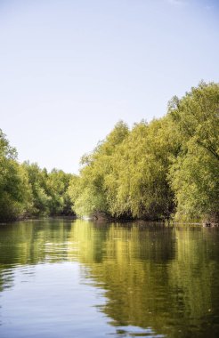 Romanya 'nın Sfantu Gheorghe kentinde Tuna Deltası manzarası