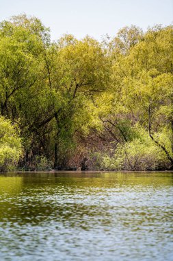 Romanya 'nın Sfantu Gheorghe kentinde Tuna Deltası manzarası