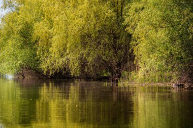 Romanya 'nın Sfantu Gheorghe kentinde Tuna Deltası manzarası