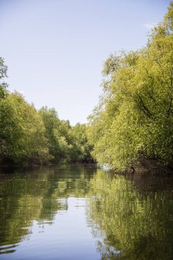 Romanya 'nın Sfantu Gheorghe kentinde Tuna Deltası manzarası