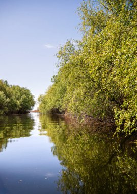 Romanya 'nın Sfantu Gheorghe kentinde Tuna Deltası manzarası
