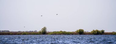 Romanya 'nın Sfantu Gheorghe kentinde Tuna Deltası manzarası