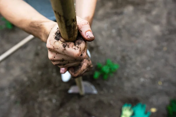 Stock image Dirty women hands holding gardening tool. High quality photo