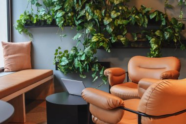 Sehpadaki dizüstü bilgisayarla toplantı alanı, rahat yumuşak sandalyeler ve uzayın etrafındaki yeşil bitkiler. Seçici odak.