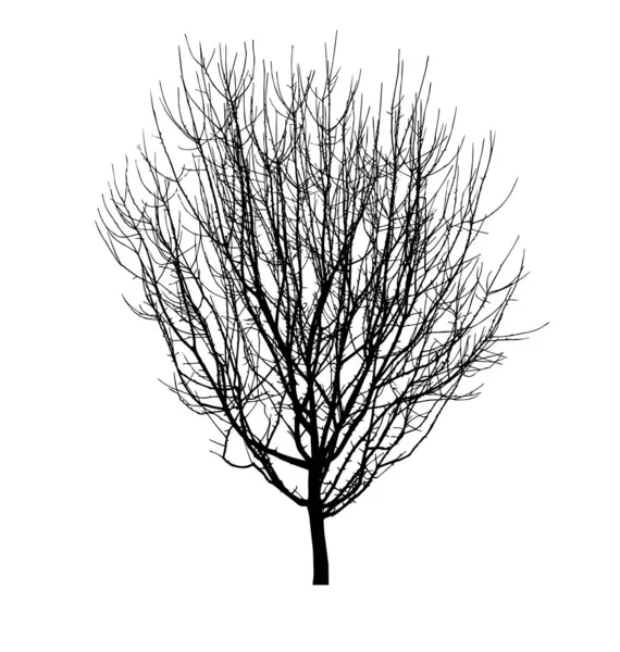 Голые Деревья Детализированные Силуэт — стоковый вектор