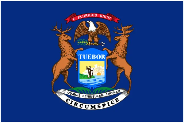 Bandeira Correta Exata Estado Michigan —  Vetores de Stock