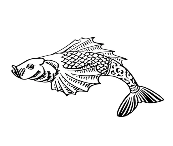 Fish Drawing Stock Photos and Images - 123RF
