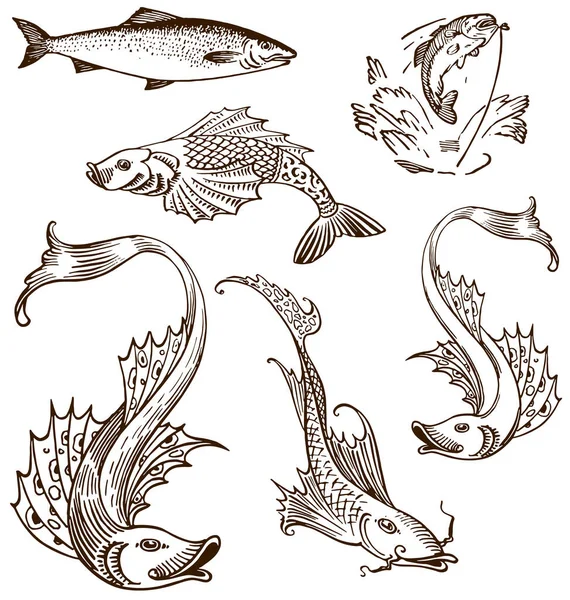 Çeşitli Antika Balık Resimleme Setleri — Stok Vektör