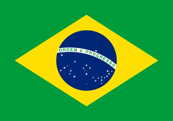 Bandera Correcta Exacta Brasil — Vector de stock