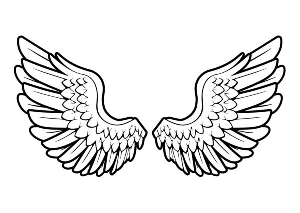 classic beautiful angel wings