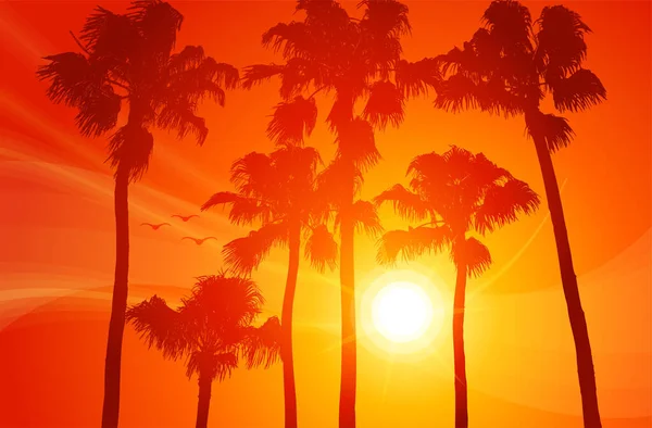 Plage Chaude Coucher Soleil Avec Palmiers — Image vectorielle