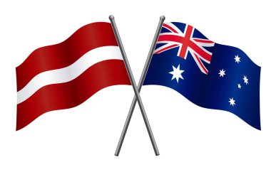 Güzel uçan beyaz barış güvercini, zeytin dalı şeffaf arka planda.