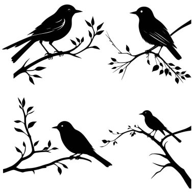Kuş siluet vektörü kümesi