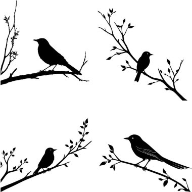 Kuş siluet vektörü kümesi