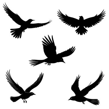 Kuş siluet vektörü kümesi