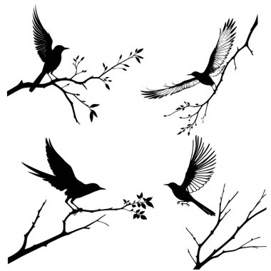 Kuş siluet vektörü kümesi