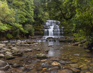 Kuzey Tazmanya, Avustralya 'da yağmurlu bir yaz gününde hafif bir şelale manzarası