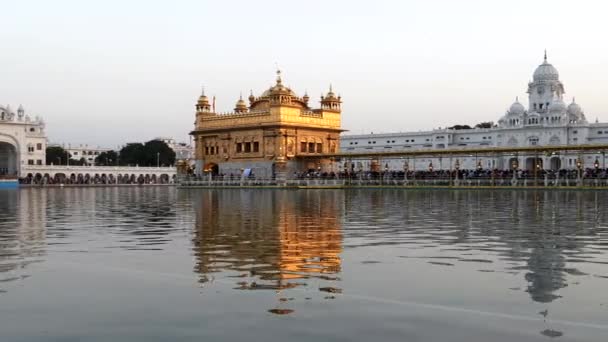 Vidvinkel Pan Gyllene Tempel Vid Solnedgången Amritsar India — Stockvideo