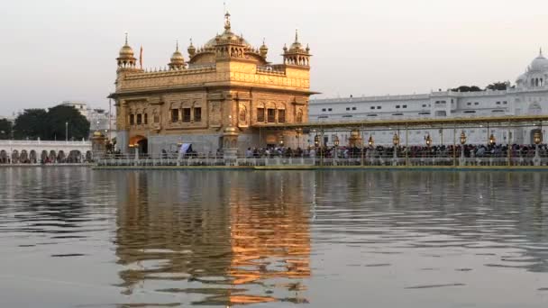 一个下午在印度Amritsar的一个著名的黄金寺庙和圣池的近景 — 图库视频影像