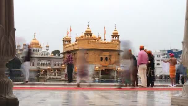 过了一段时间的锡克教信徒走过印度Amritsar的黄金庙宇 — 图库视频影像