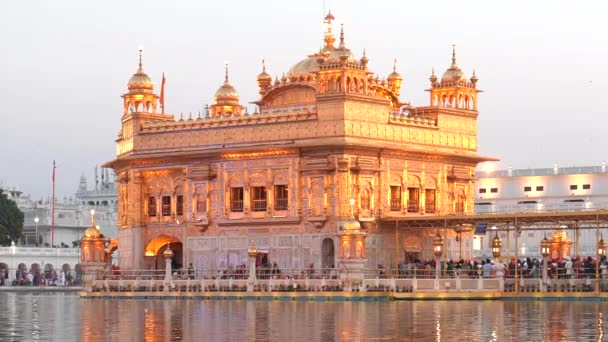 Blick Auf Den Wunderschönen Goldenen Tempel Bei Sonnenuntergang Amritsar Indien — Stockvideo