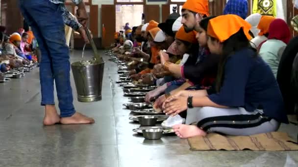 Amritsar India Μαρτιου 2019 Daal Curry Σερβίρεται Χρυσούς Ναούς Στο — Αρχείο Βίντεο