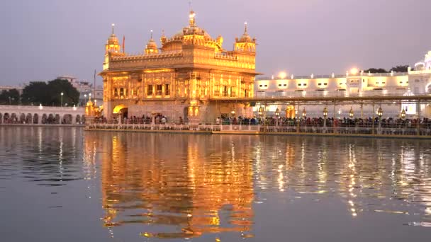 Wunderschöner Goldener Tempel Mit Rosa Sonnenuntergangshimmel Amritsar Indien — Stockvideo