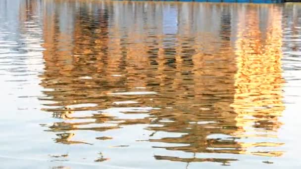 180P Zeitlupe Nahaufnahme Von Spiegelungen Pool Des Goldenen Tempels Amritsar — Stockvideo