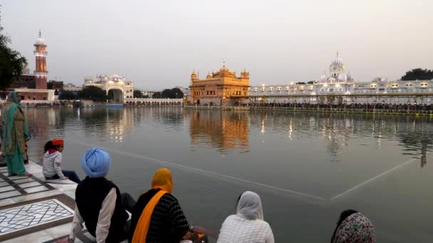 Weitwinkelblick Auf Goldenen Tempel Und Heiligen Pool Amritsar Indien Abend — Stockvideo