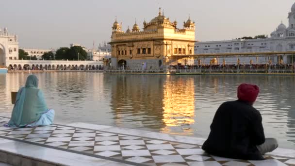 印度毛里萨尔一座金碧辉煌的寺庙里 一男一女的锡克教徒坐在圣池旁 — 图库视频影像