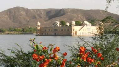 Jaipur, Hindistan 'da ön planda begonvil çiçekli Jal Mahal Sarayı